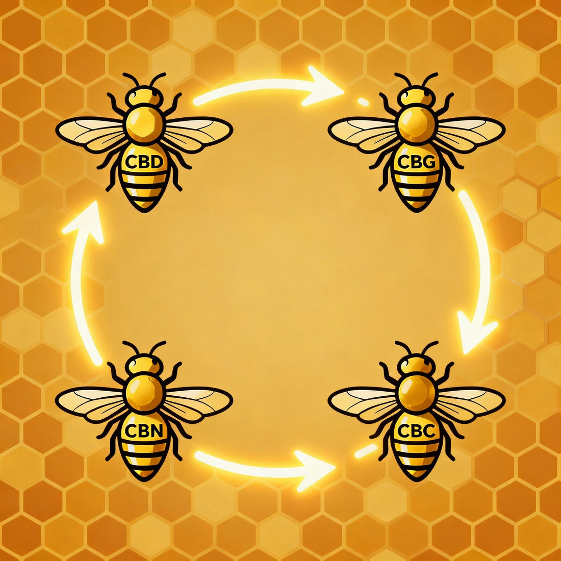 Le Secret de la Synergie