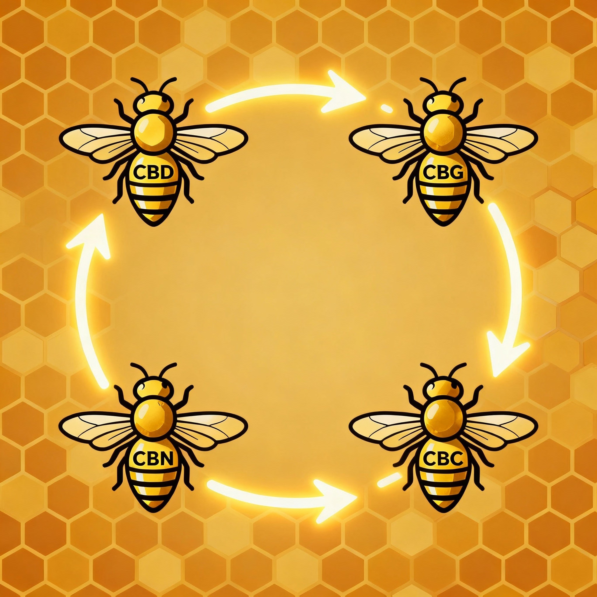 Le Secret de la Synergie