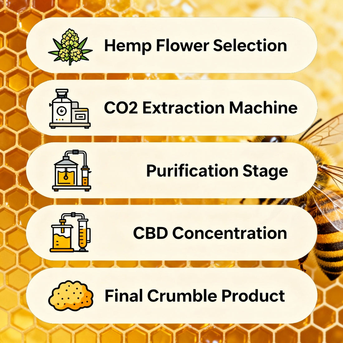 La Pureté Révélée. l’Extraction CO₂ Supercritique